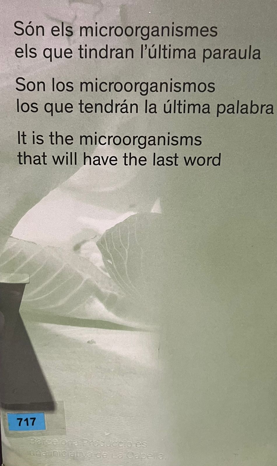 Son los microorganismos los que tendrán la última palabra